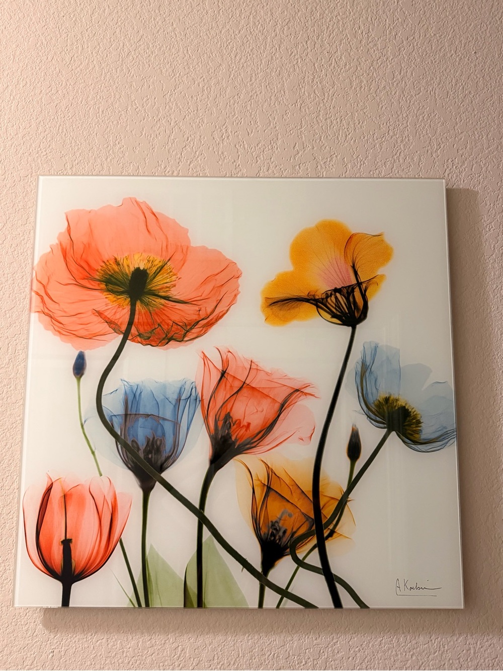 Vibrant Poppy Floral Wall Art on glass panel- 24 x 24 inch, Coral, Yellow & Blue
